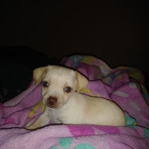 Meet your Posher, Sherrie